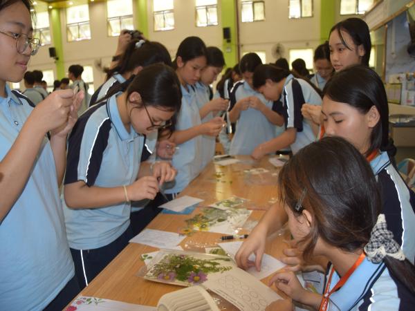 河池市卫生学校举办“韧性成长、向阳而生”心理游园会